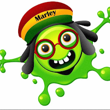 Marleys House Clearwater Vape & Smoke Shop