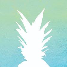 Pineapple Auto Glass