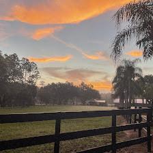 Circle C's Ranch