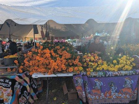 Sánchez Farms