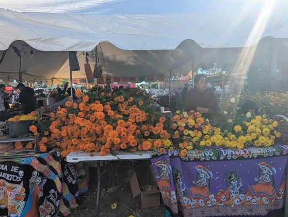 Sánchez Farms