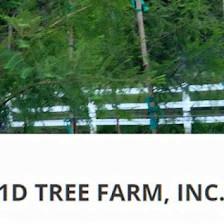 1D TREE FARM, INC