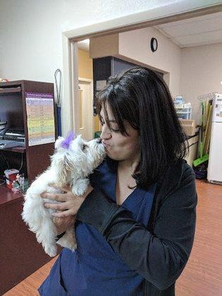 Noah's Ark Animal Hospital