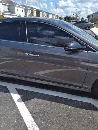 Tint One