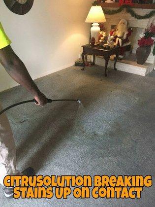 CitruSolution Carpet & Upholstery Cleaning of Tampa