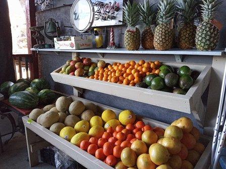 Natures Creations*Misty's Market