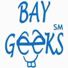 Bay Geeks Computer Services