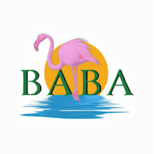 Bay Area Bookkeeping & Accounting Inc.