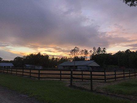 Circle C's Ranch