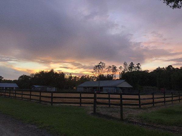 Circle C's Ranch