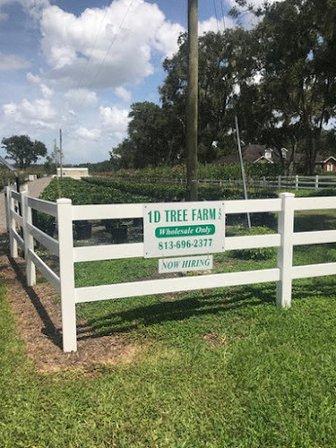 1D TREE FARM, INC