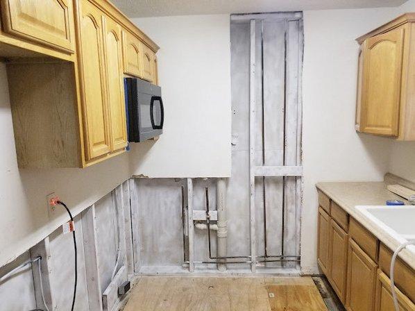 TampaBayMold.net