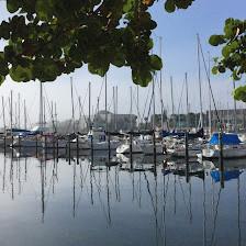 Tour St Pete