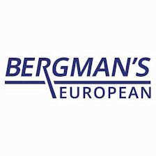 Bergman's European Autoworks