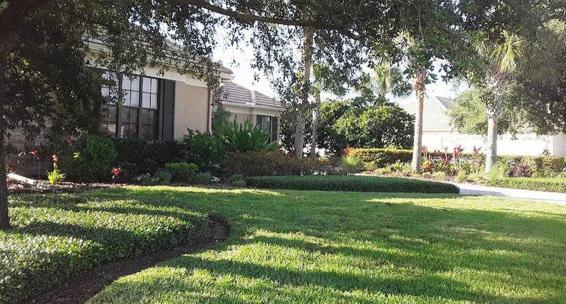 Wesley Chapel Lawn Care Service LLC