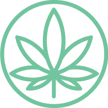 Cannabis Doc - South Tampa Medical Marijuana Doctors & Marijuana Cards