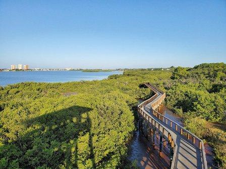 Observation Tower