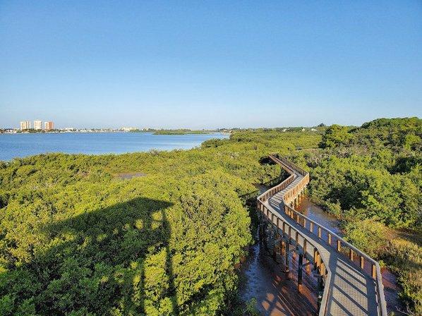 Observation Tower