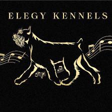 Elegy Kennels
