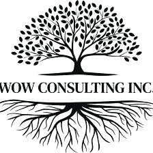 WOW Consulting Inc