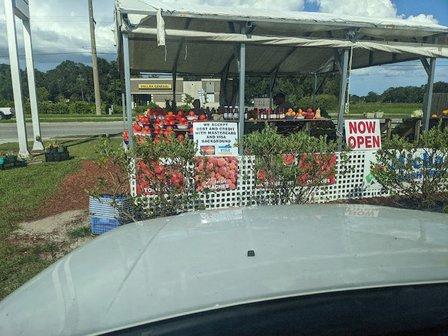 Michael's fresh produce