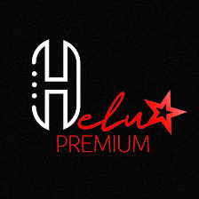 H DELUX PREMIUM LLC