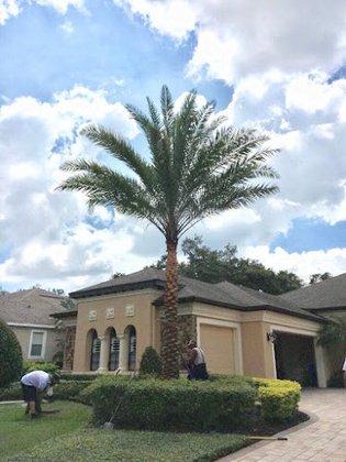 G & G Palm Center Nursery