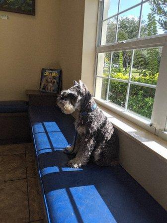 Valrico Animal Clinic
