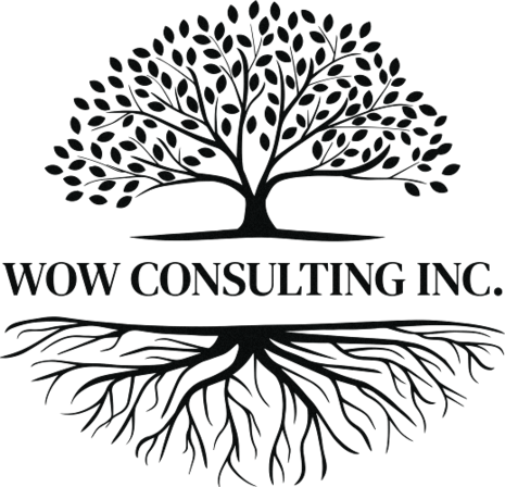 WOW Consulting Inc