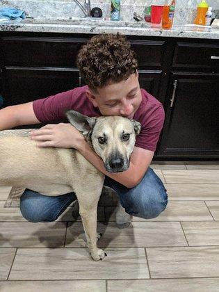 SemperFido Pet Sitting