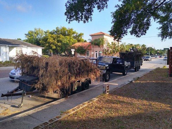 Ambush Tree Service