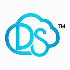 Digital South Communications