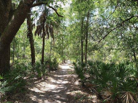 Lower Hillsborough Wildlife Management Area