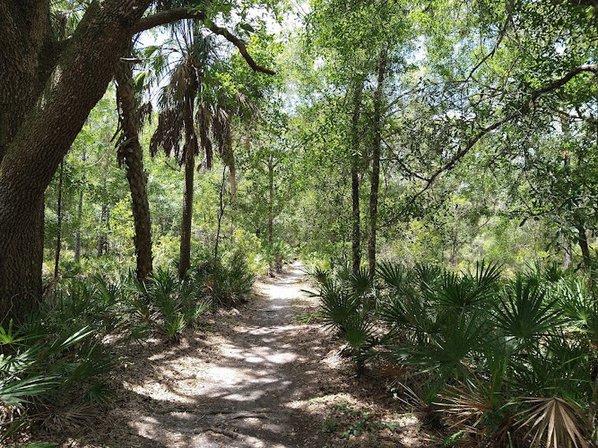 Lower Hillsborough Wildlife Management Area
