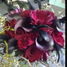 Apple Blossoms Floral Designs