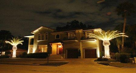Tampa Lights