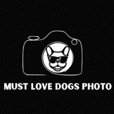 Must Love Dogs Photo