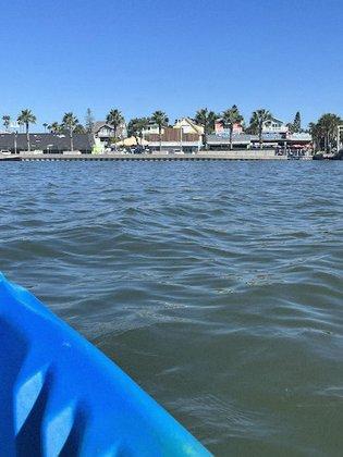 Kayak Nature Adventures