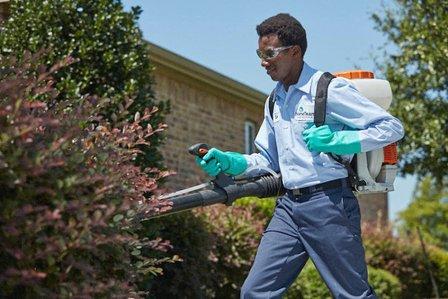 HomeTeam Pest Defense