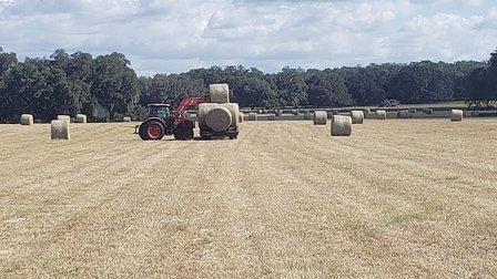 Big Scrub Land and Cattle LLC