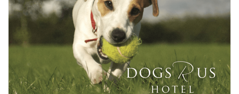 Dogs R Us Hotel