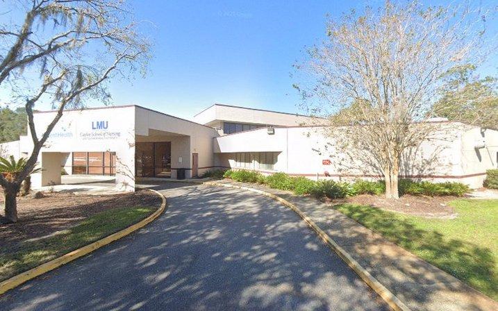 Lincoln Memorial University Caylor School of Nursing Tampa