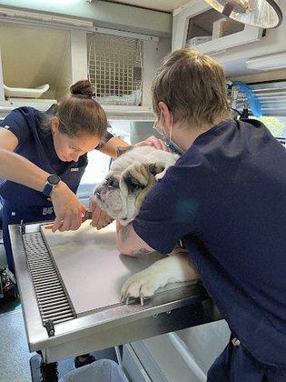 Florida Veterinary Clinic