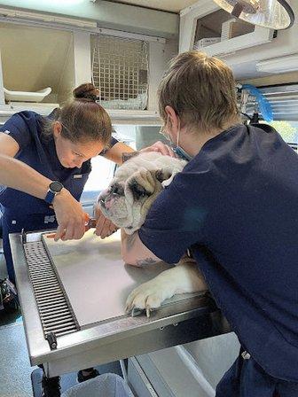 Florida Veterinary Clinic