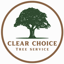 Clear Choice Tree Service LLC