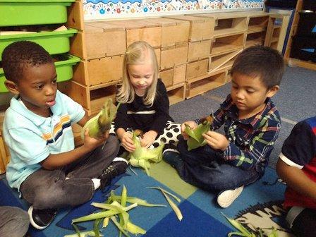 First Discoveries Academy