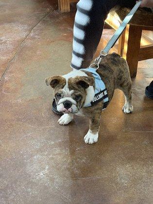 Dade City Animal Clinic