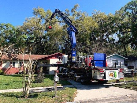 Knuckleheads Tree Service, Inc