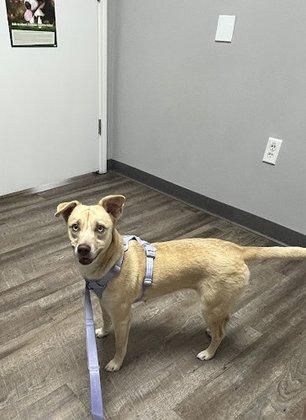 Riverview Veterinary Hospital