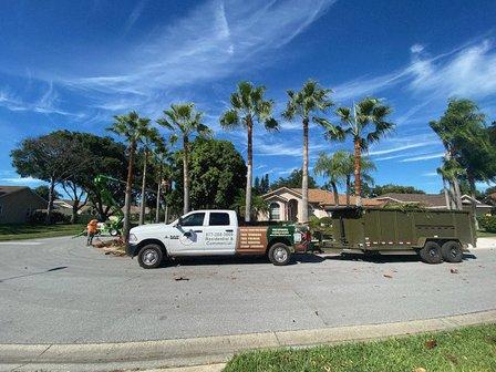 Clear Choice Tree Service LLC